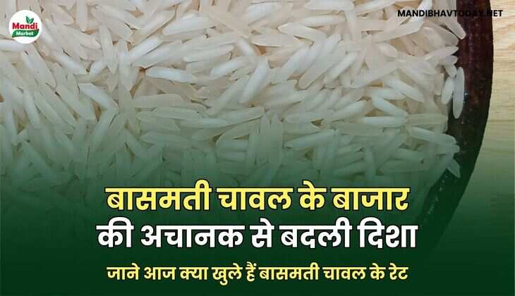 बासमती चावल के रेट