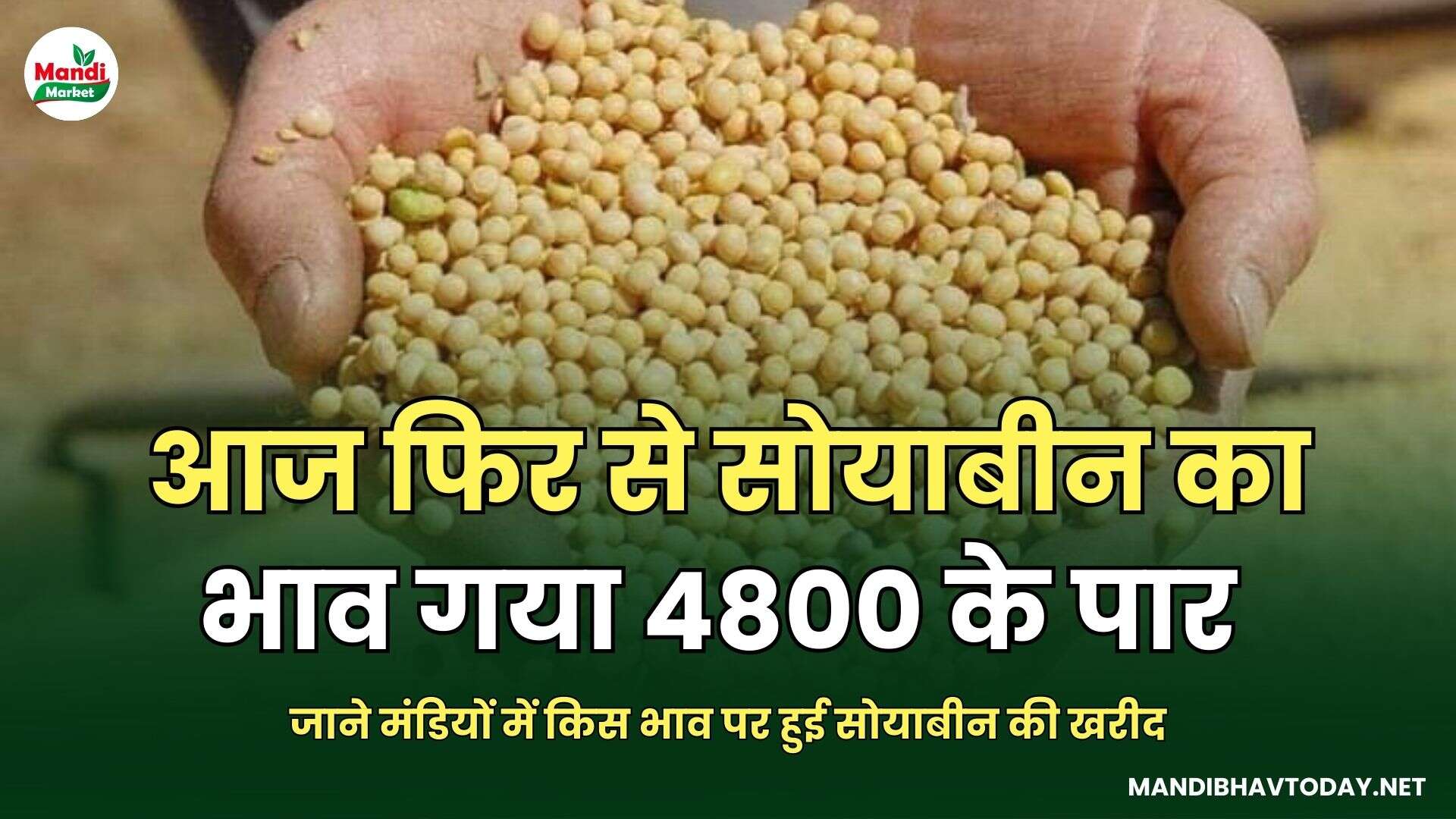 आज फिर से सोयाबीन का भाव गया 4800 के पार | जाने मंडियों में किस भाव पर हुई सोयाबीन की खरीद