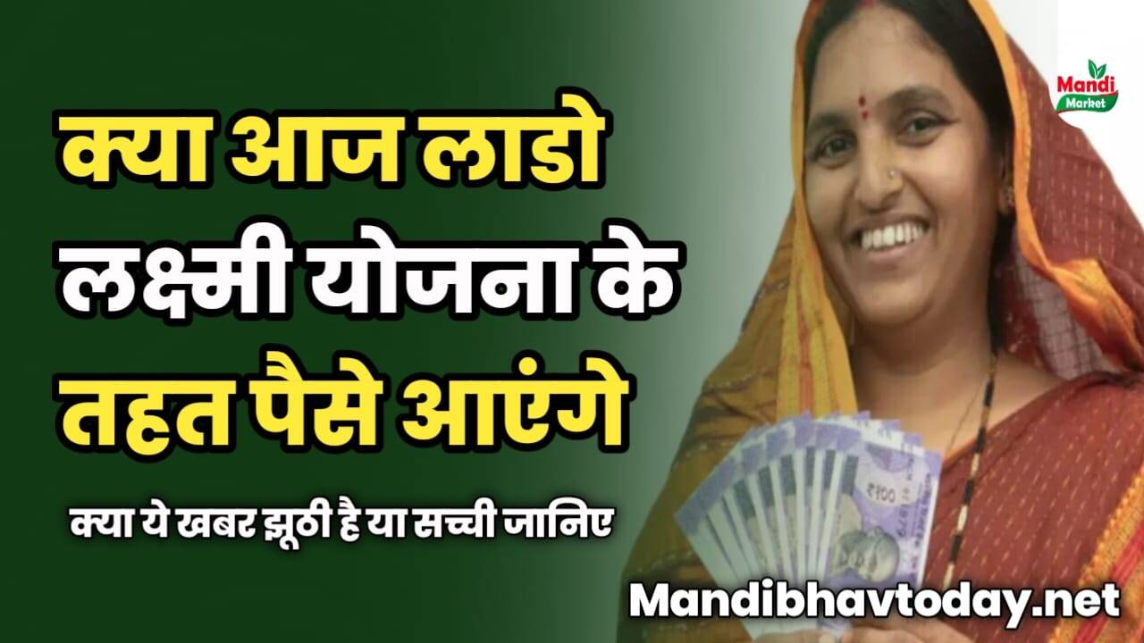 क्या आज लाडो लक्ष्मी योजना के तहत पैसे आएंगे | क्या ये खबर झूठी है या सच्ची जानिए 