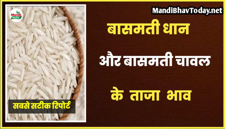 basmati rice rate