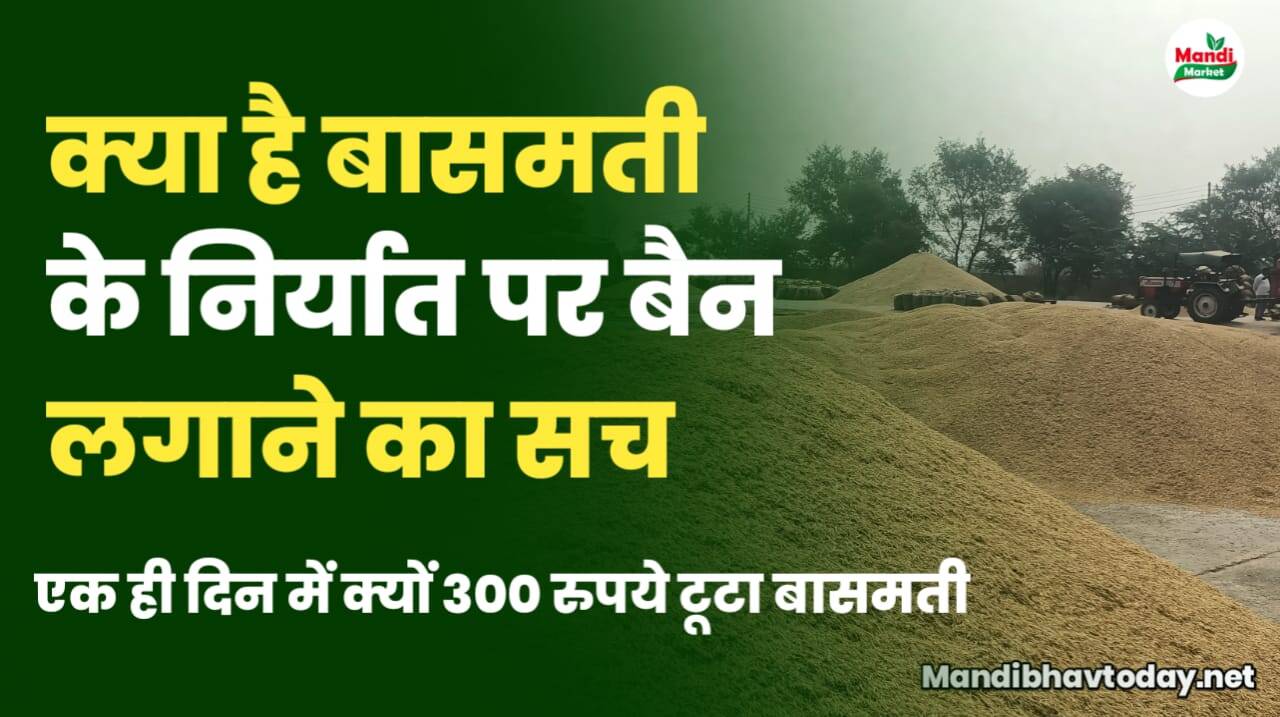 क्या है बासमती निर्यात पर बैन की खबर | जाने पूरा सच