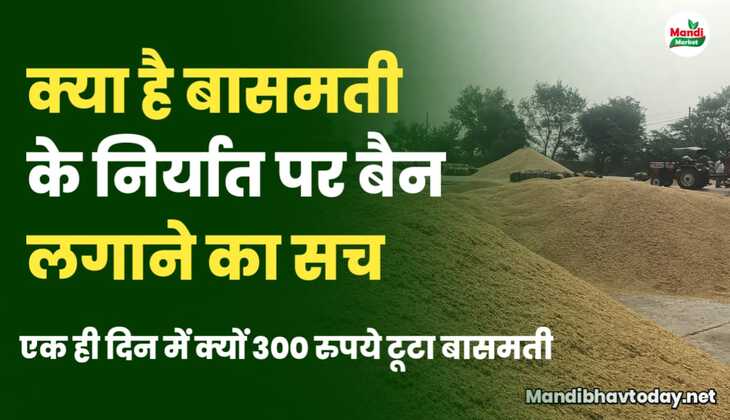 क्या है बासमती निर्यात पर बैन की खबर | जाने पूरा सच