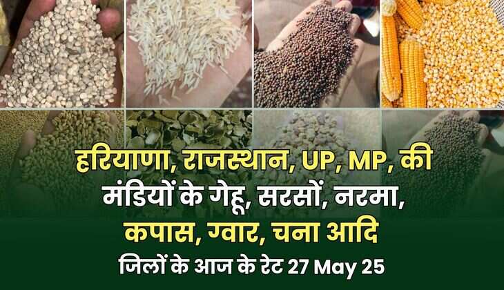  जिलों के आज के रेट 27 May 25 