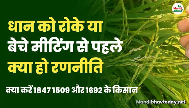 बासमती पर कल होगी मीटिंग | जानिए किन मुद्दों पर होगी चर्चा | धान रोके या बेचे जाने इस रिपोर्ट में