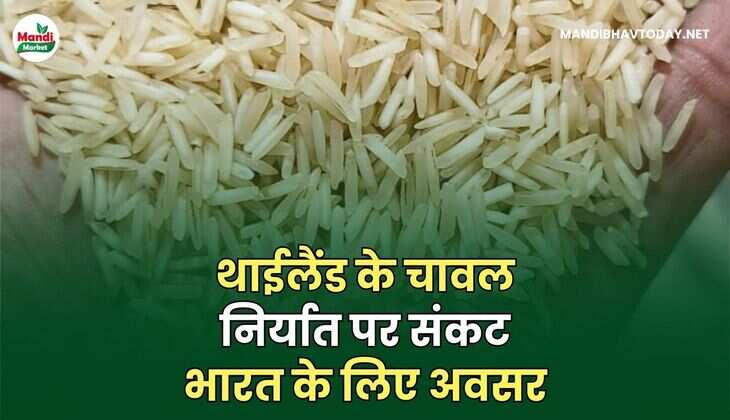 थाईलैंड के चावल निर्यात पर संकट: भारत के लिए अवसर