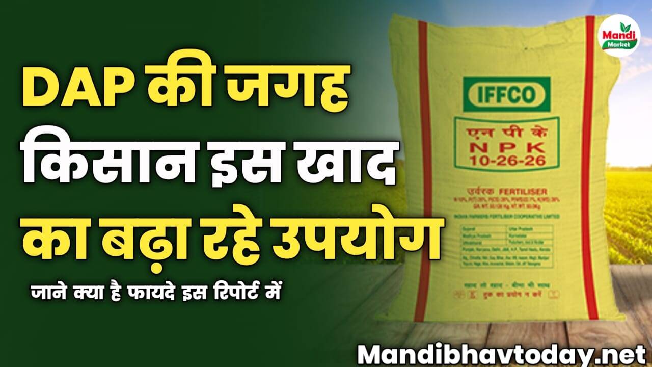 DAP की जगह किसान इस खाद का बढ़ा रहे उपयोग | जाने क्या है फायदे