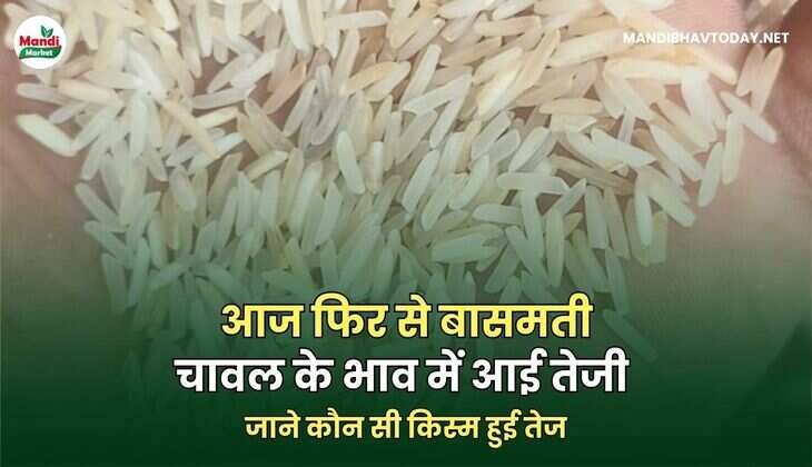 जाने कौन सी किस्म हुई तेज