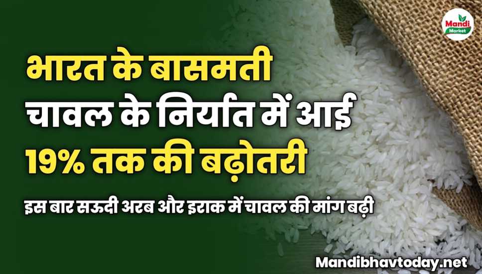 भारत के बासमती चावल के निर्यात में आई 19% तक की बढ़ोतरी | इस बार सऊदी अरब और इराक में चावल की मांग बढ़ी 