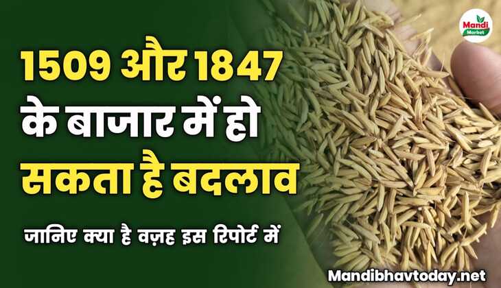 1509 और 1847 के बाजार में हो सकता है बदलाव | जानिए क्या है वज़ह इस रिपोर्ट में 