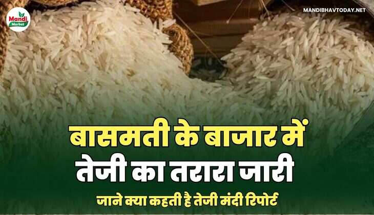 बासमती भाव 
