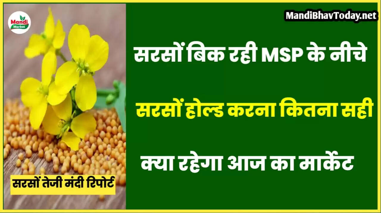 mustard report