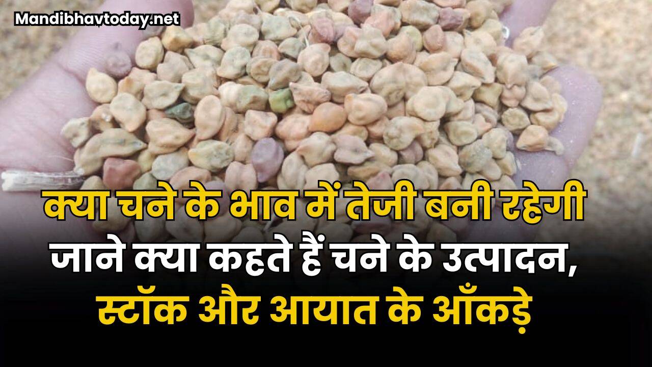 क्या चने के भाव में तेजी बनी रहेगी | जाने क्या कहते हैं चने के उत्पादन, स्टॉक और आयात के आँकड़े