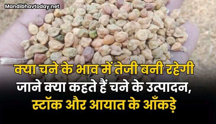 क्या चने के भाव में तेजी बनी रहेगी | जाने क्या कहते हैं चने के उत्पादन, स्टॉक और आयात के आँकड़े