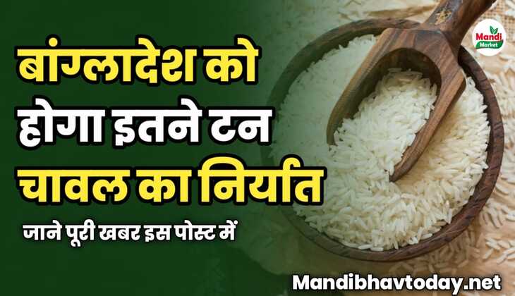 बांग्लादेश को होगा इतने टन चावल का निर्यात | जाने पूरी खबर