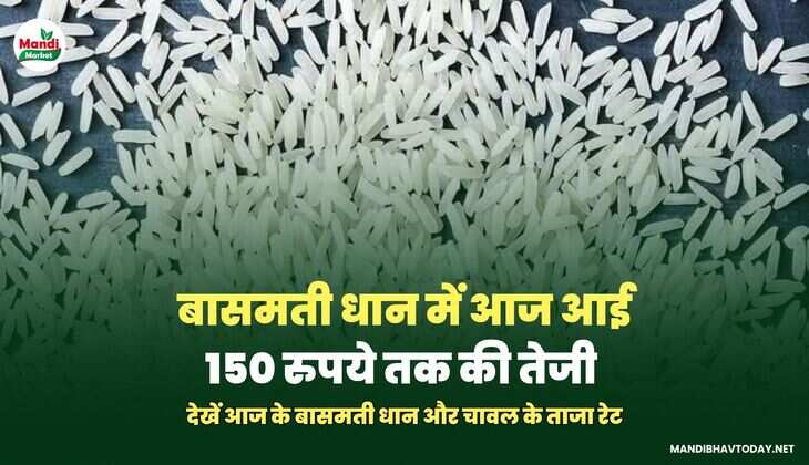 बासमती images
