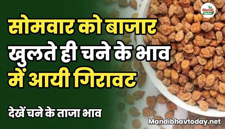सोमवार को बाजार खुलते ही चने के भाव में आयी गिरावट | देखें चने के ताजा भाव