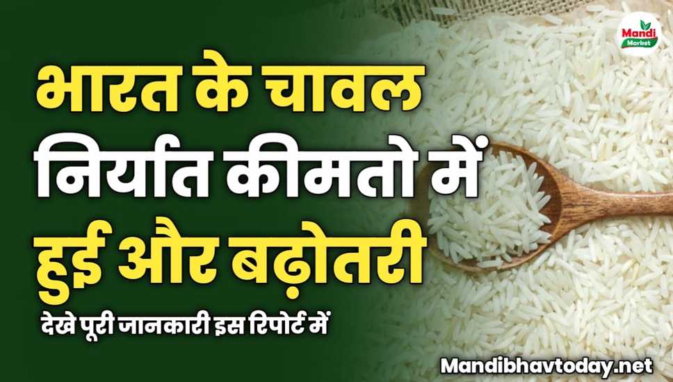भारत के चावल निर्यात कीमतो में हुई और बढ़ोतरी | देखे पूरी जानकारी इस रिपोर्ट में