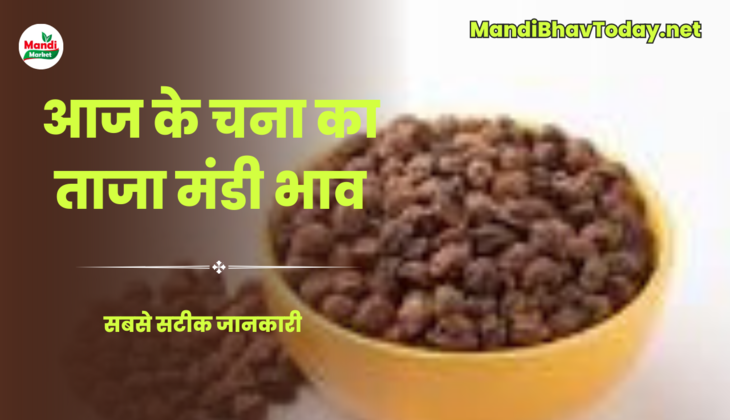 चने में सीमित तेजी मंदी | जानिए क्या खुले हैं आज चने के रेट Chana Live Rate Today 02 August 2023 