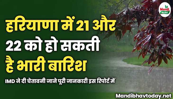 हरियाणा में 21 और 22 को को सकती है भारी बारिश | IMD ने दी चेतावनी | जाने पूरी जानकारी इस रिपोर्ट में 