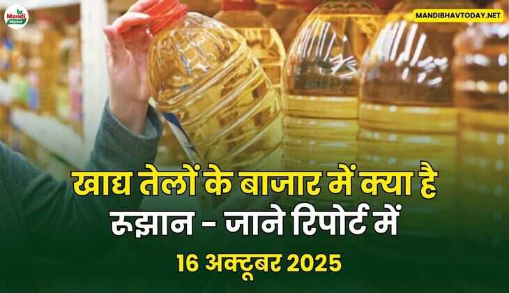 खाद्य तेलों के बाजार में क्या है रुझान - जाने रिपोर्ट में
