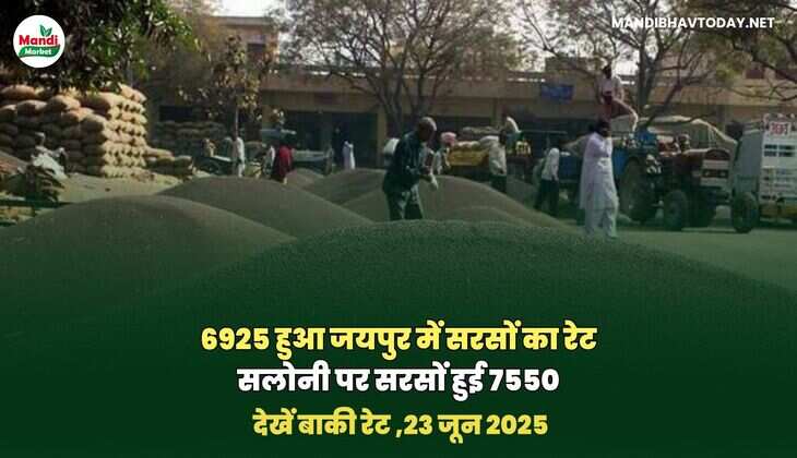 सरसों image