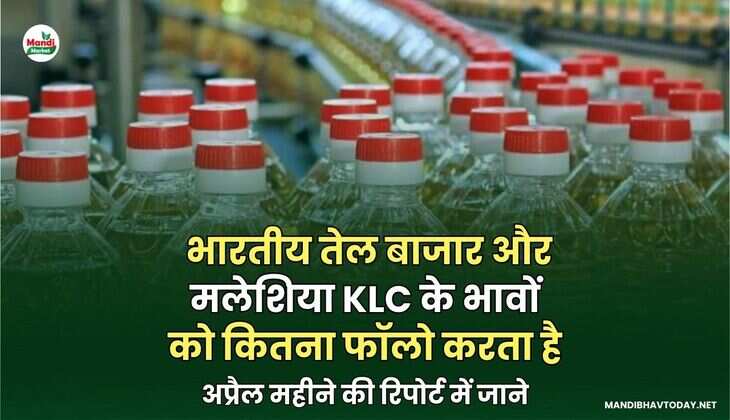 भारतीय तेल बाजार और मलेशिया KLC के भावों को कितना फॉलो करता है - अप्रैल महीने की रिपोर्ट में जाने
