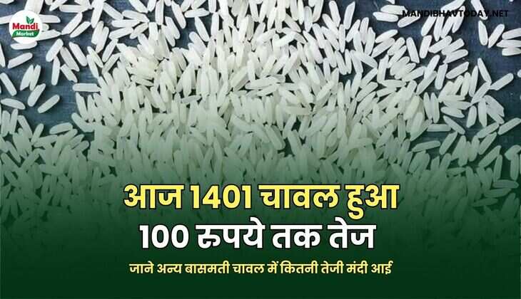 जाने अन्य बासमती चावल में कितनी तेजी मंदी आई