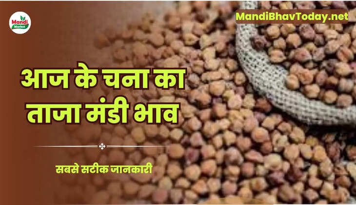 आज चने के रेट Chana Live Rate Today 05 july 2023 