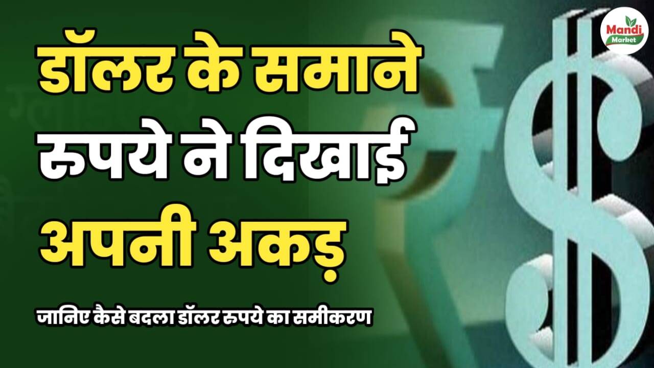 डॉलर के सामने रुपये ने दिखाई अपनी मजबूती | जानिए कैसे बदला समीकरण