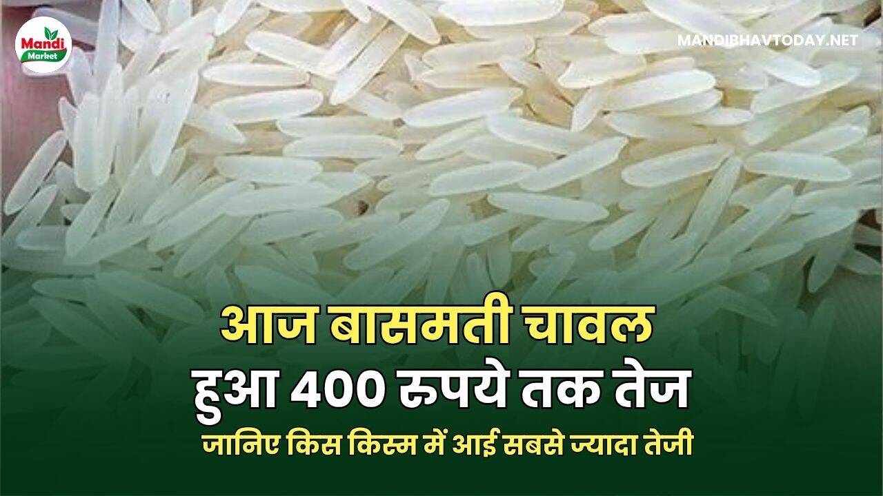 BASMATI