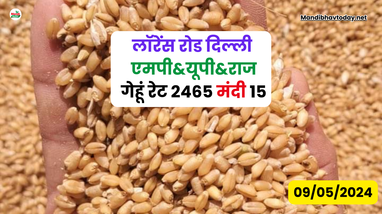 आज के गेहू के भाव