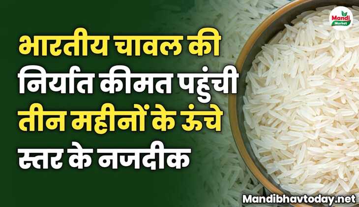 भारतीय चावल की निर्यात कीमत पहुंची तीन महीनों के ऊंचे स्तर के नजदीक | देखे पूरी जानकारी इस रिपोर्ट में