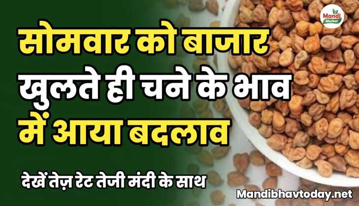 सोमवार को बाजार खुलते ही चने के भाव में आया बदलाव | देखें तेज़ रेट तेजी मंदी के साथ