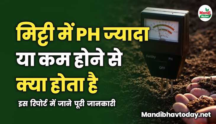 मिट्टी में PH ज्यादा या कम होने से क्या होता है | इस रिपोर्ट में जाने