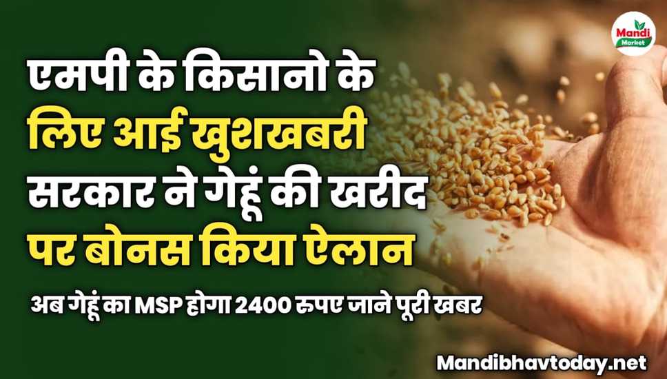 एमपी के किसानो के लिए आई खुशखबरी सरकार ने गेहूं की खरीद पर बोनस किया ऐलान | अब गेहूं का MSP होगा 2400 रुपए जाने पूरी खबर 