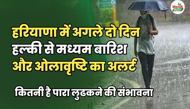 हरियाणा में अगले 2 दिन हल्की से मध्यम बारिश और ओलावृष्टि का अलर्ट, पारा लुड़कने की संभावना