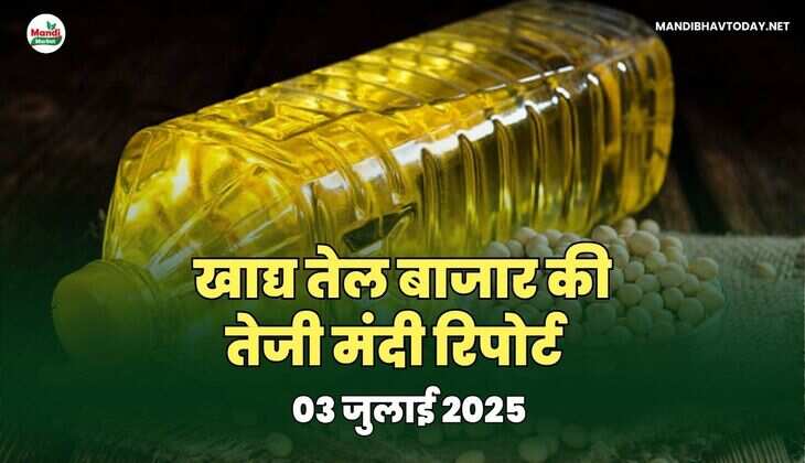 खाद्य तेल बाजार मे तेजी मंदी रिपोर्ट -03 जुलाई 2025 