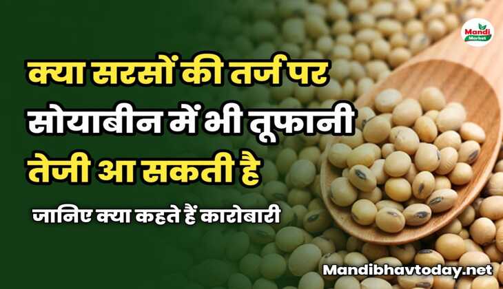 क्या सरसों की तर्ज पर सोयाबीन में भी तूफानी तेजी आ सकती है | जानें सोयाबीन की तेजी मंदी रिपोर्ट में