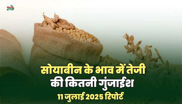 सोयाबीन images