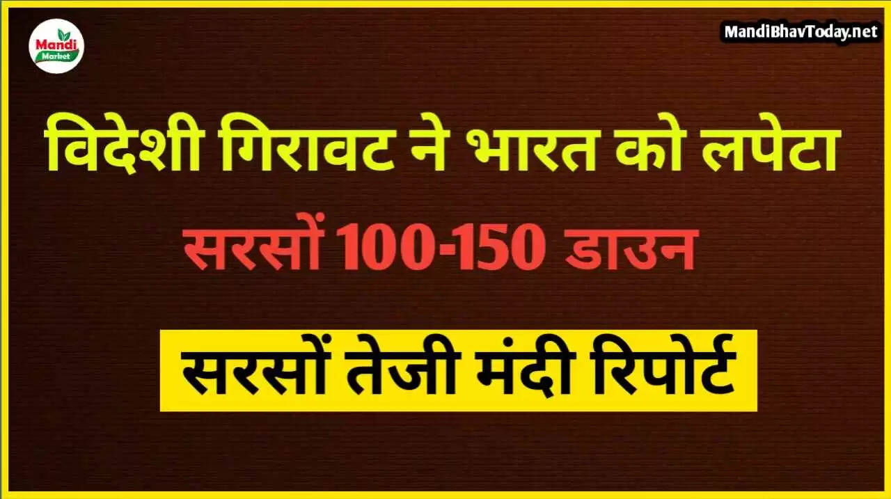 sarso rate today