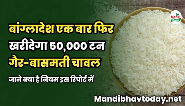 बांग्लादेश एक बार फिर खरीदेगा 50,000 टन गैर-बासमती चावल | जाने क्या है नियम इस रिपोर्ट में 