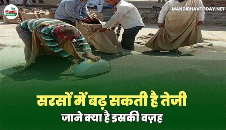 सरसों image