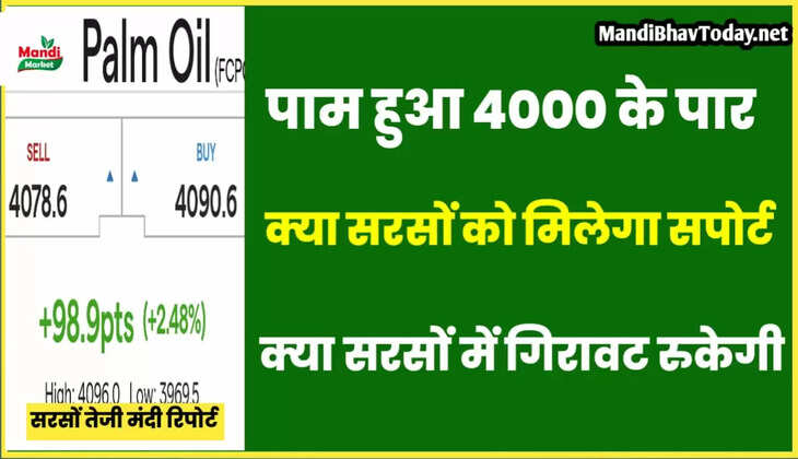 sarso teji mandi report