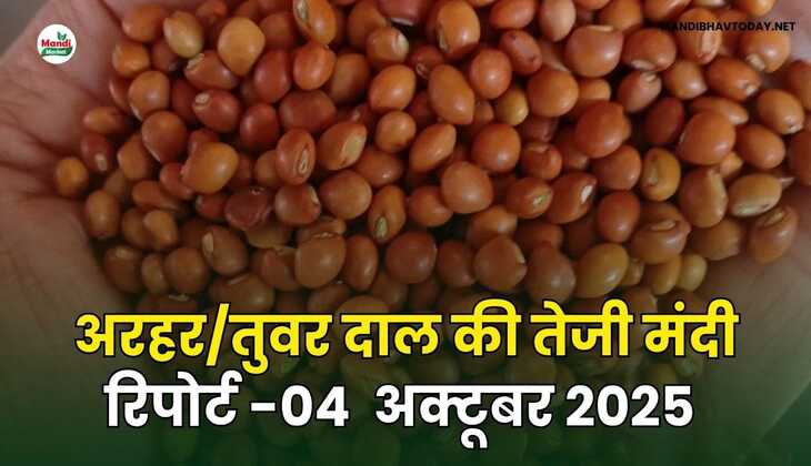 अरहर /तुवर  दाल की तेजी मंदी रिपोर्ट - 04 अक्टूबर 2025