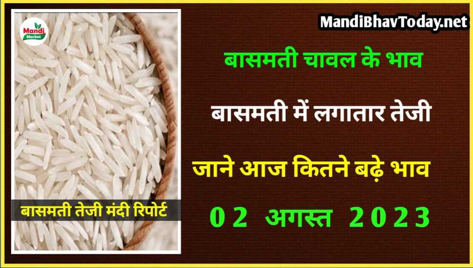 बासमती चावल के ताजा भाव Basmati Ke Taja Mandi Rate