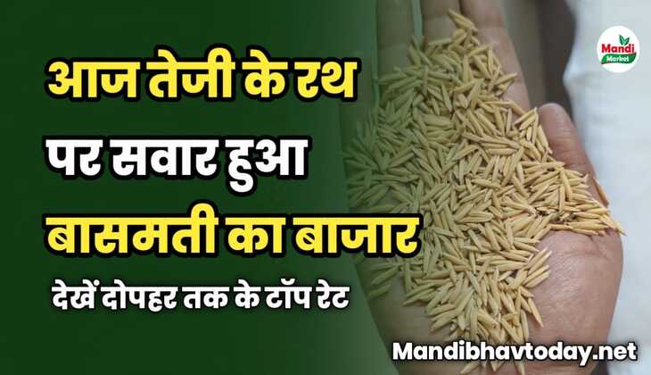 आज तेजी के रथ पर सवार हुआ बासमती का बाजार | देखें दोपहर तक के टॉप रेट