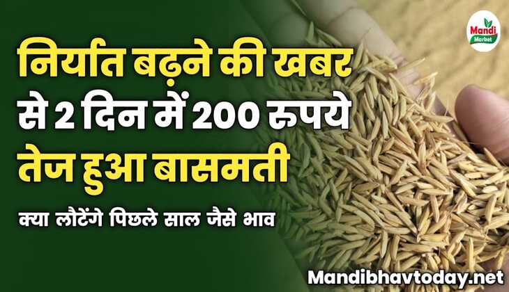 निर्यात बढ़ने की खबर से 2 दिन में 200 रुपये तेज हुआ बासमती | जाने क्या लौटेंगे पिछले साल जैसे भाव