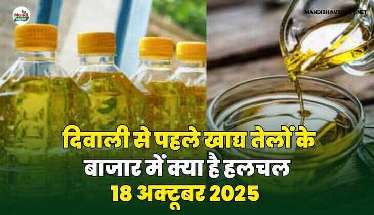 दिवाली से पहले खाद्य तेलों के बाजार में क्या है हलचल