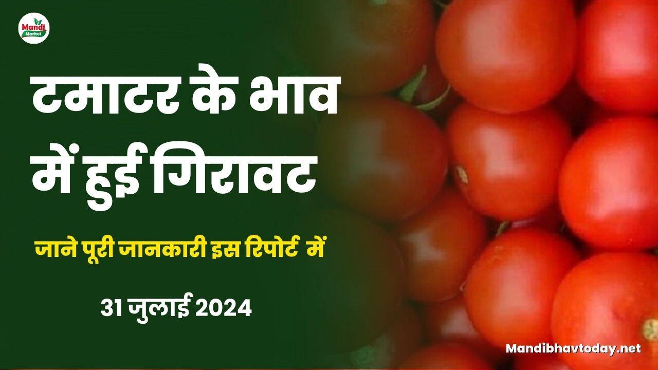 जाने मंडियों से क्या मिल रही है रिपोर्ट