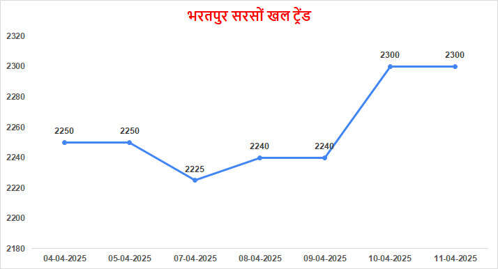 MANDI BHAV TODAY